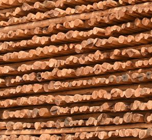 1515054932689478.png QQ截圖20180104164431.png